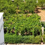 Tenuta Don Salvatore *