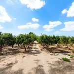 Tenuta Don Salvatore 산니콜라
