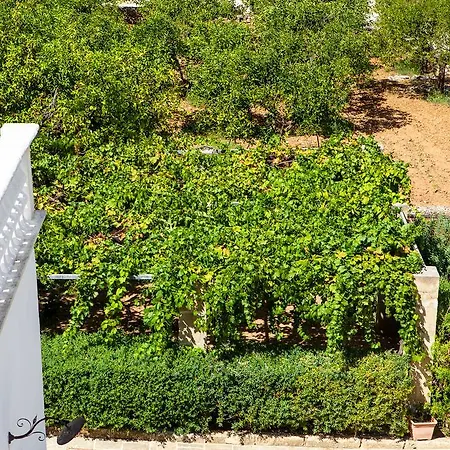 Tenuta Don Salvatore *
